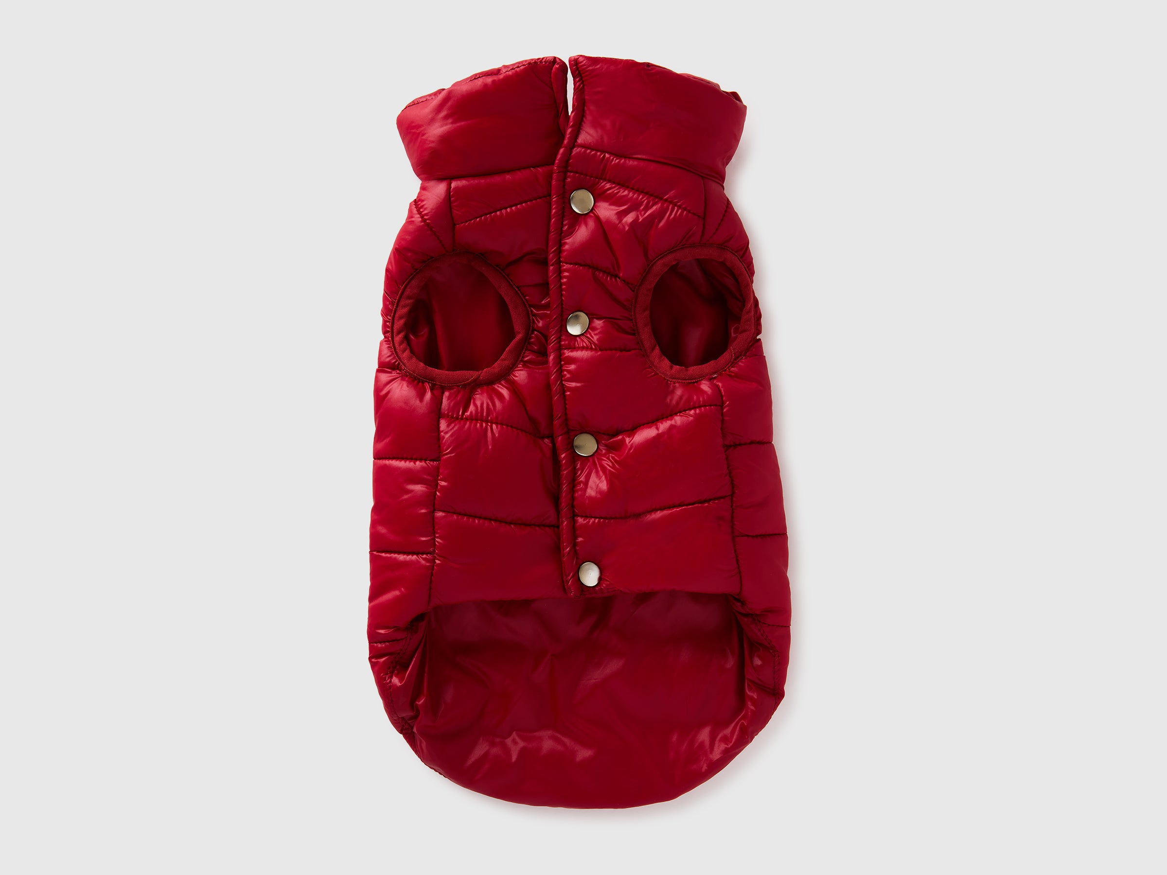Casaco vermelho morango para cães - ucb_image_BS