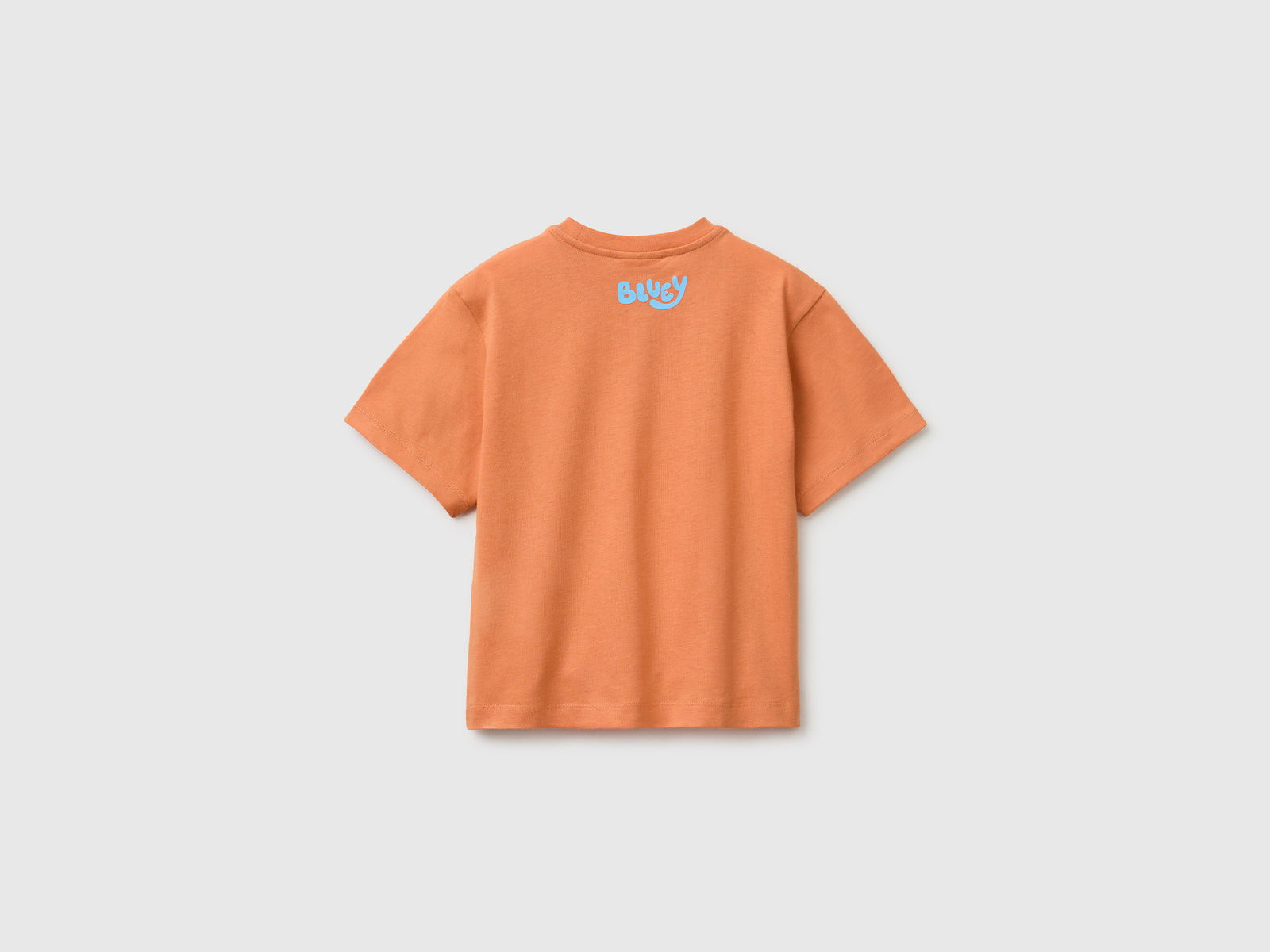 T-shirt Bluey alaranjada - ucb_image_BS