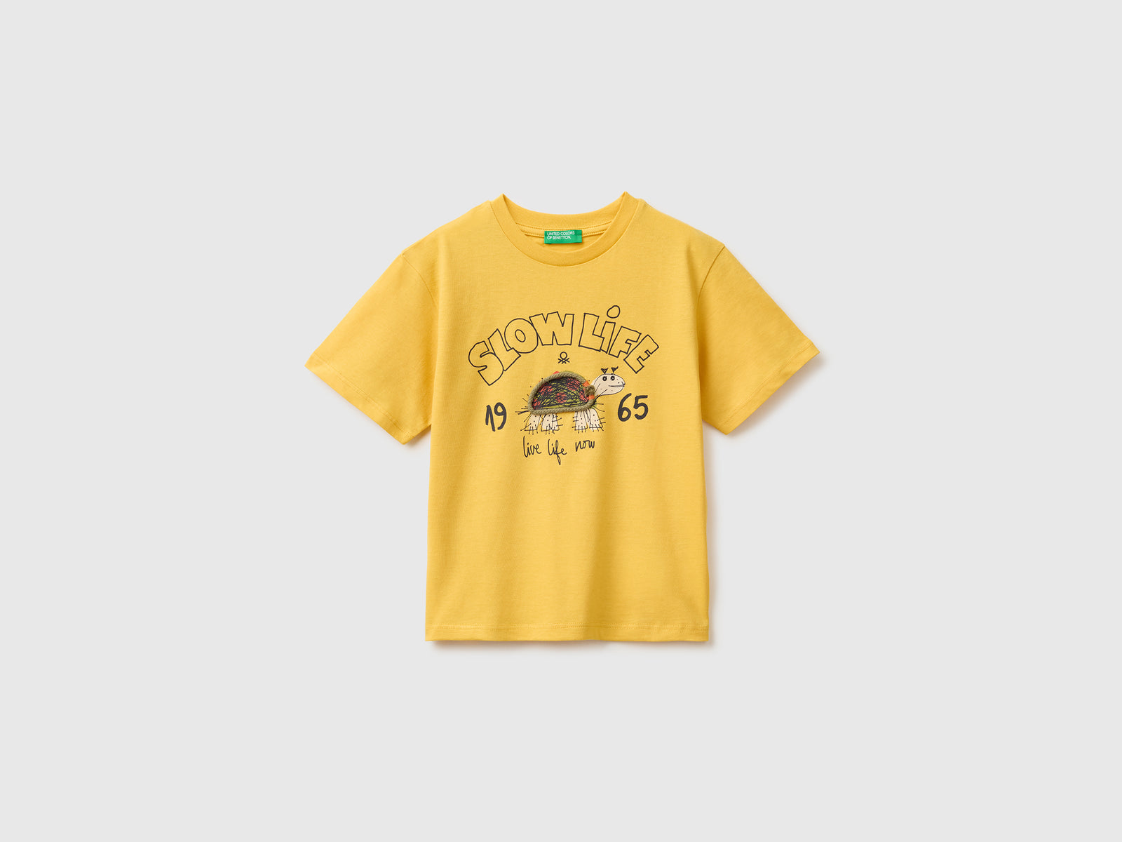 T-shirt com estampado tartaruga - ucb_image_FS
