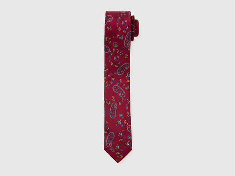 Paisley tie - ucb_image_FS