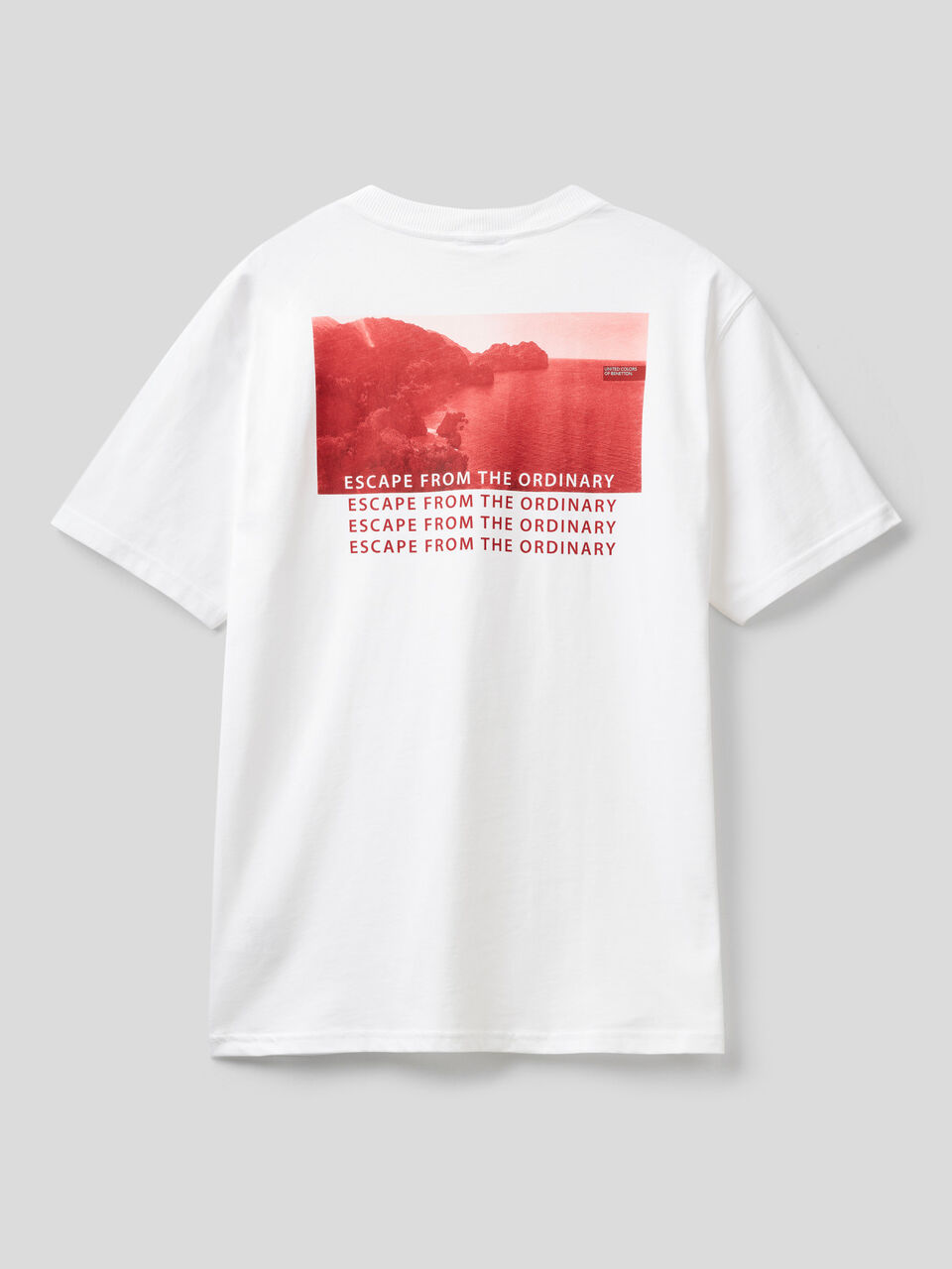 100% cotton t-shirt with print image number 2