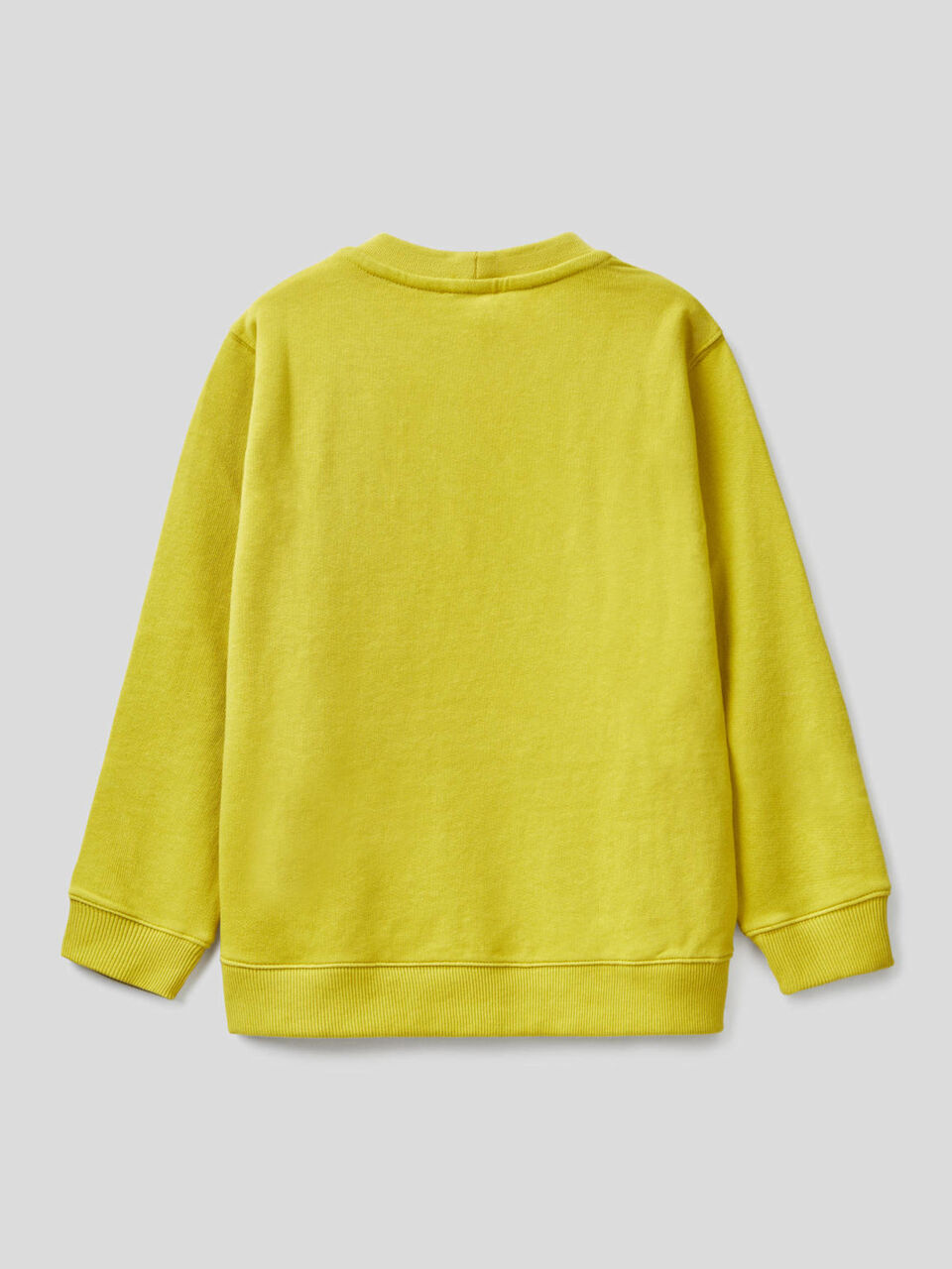 Sweatshirt in 100% cotton with zip-up pocket image number 2