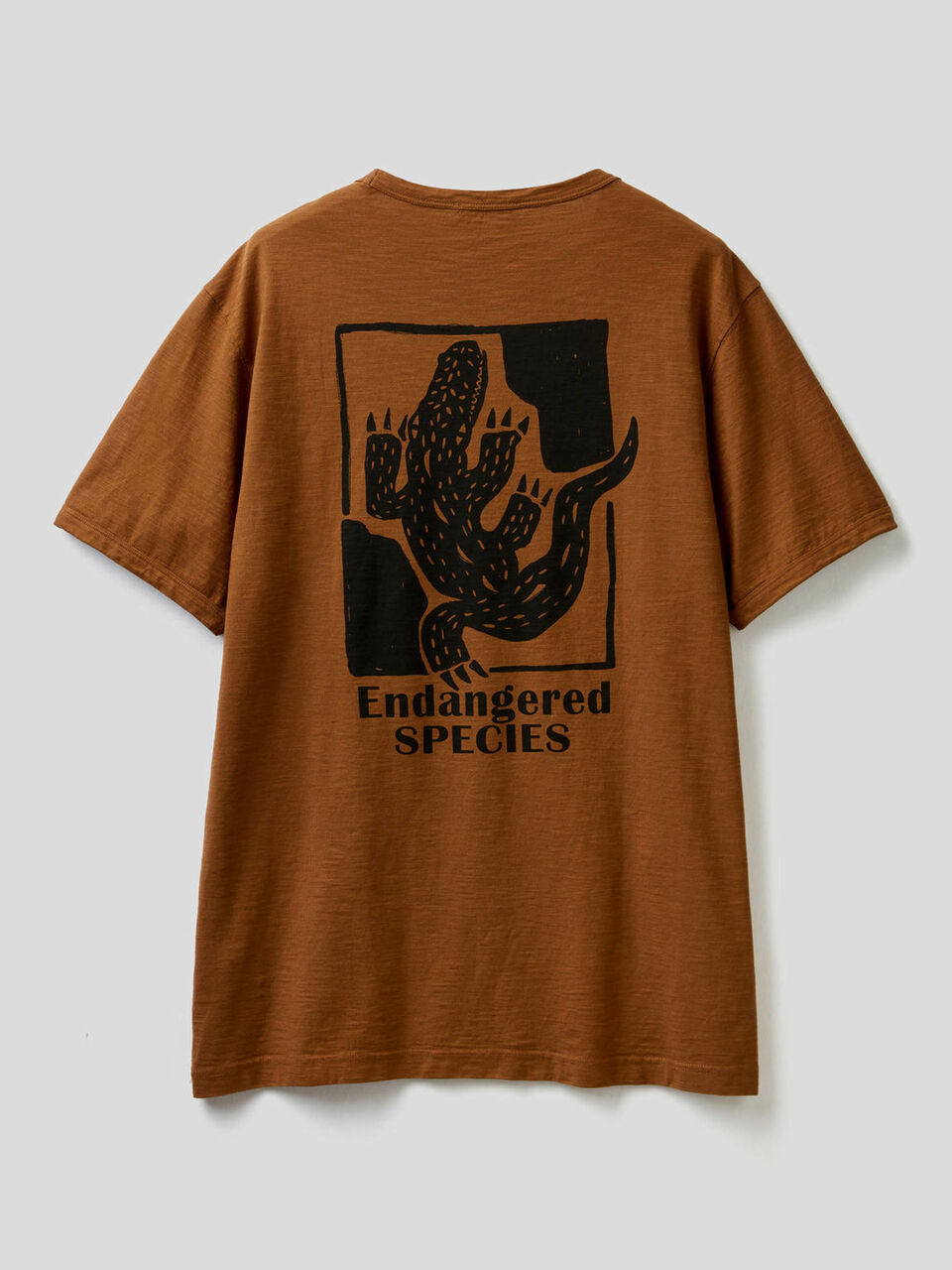 Pure cotton t-shirt with print image number 2