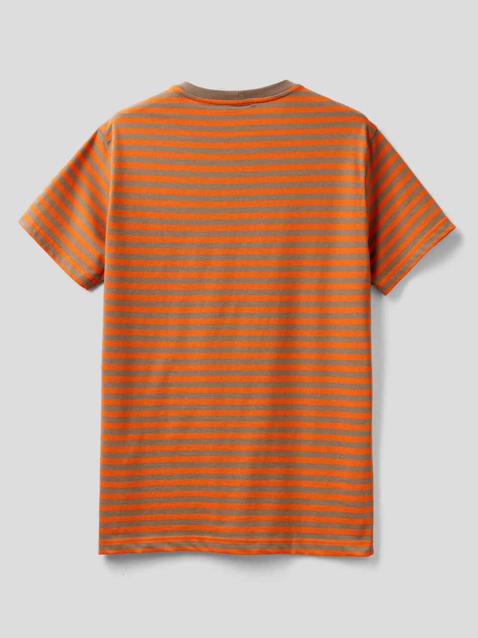 Striped t-shirt in 100% organic cotton image number 2