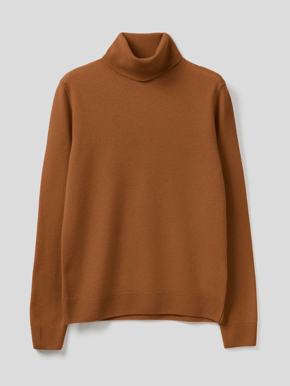 Turtleneck sweater in pure virgin wool image number 1