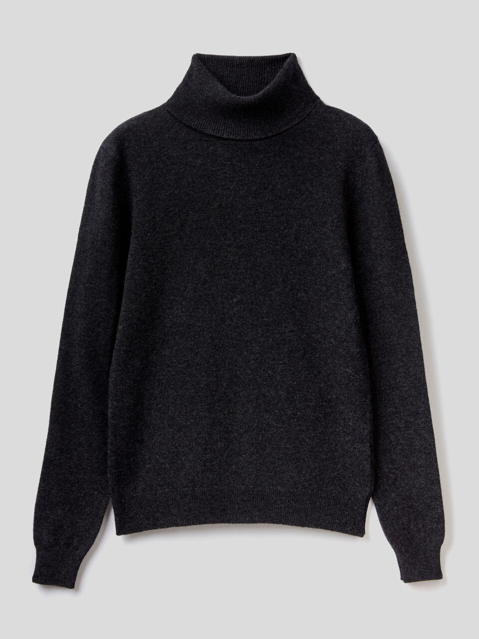 Turtleneck sweater in pure virgin wool image number 1