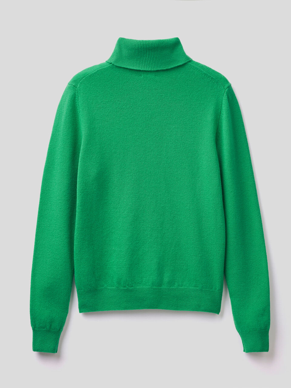 Turtleneck sweater in pure virgin wool image number 2